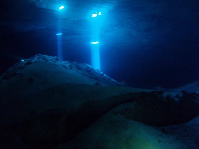 scuba 048.jpg